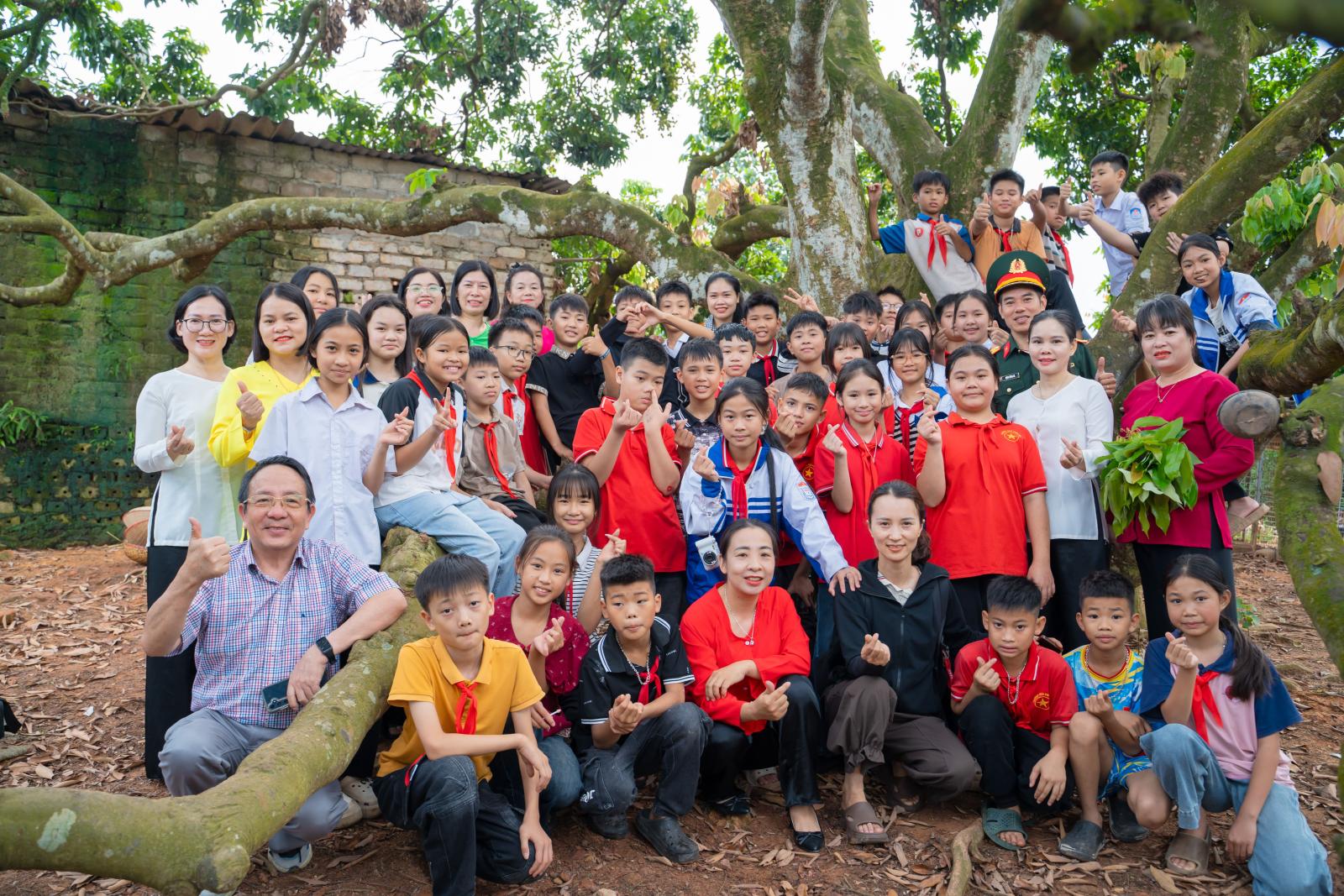 Mùa vải 2026 - Đặt hàng ngay